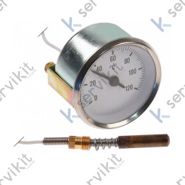 Teletermometro lavavajillas industrial 0-120c 60mm