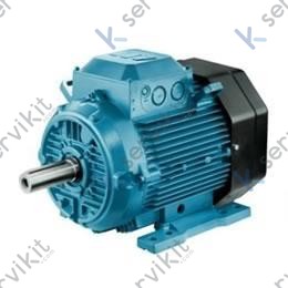 Motor de campana extractora 230/400V 2200W 4P M2AA-100LC B3